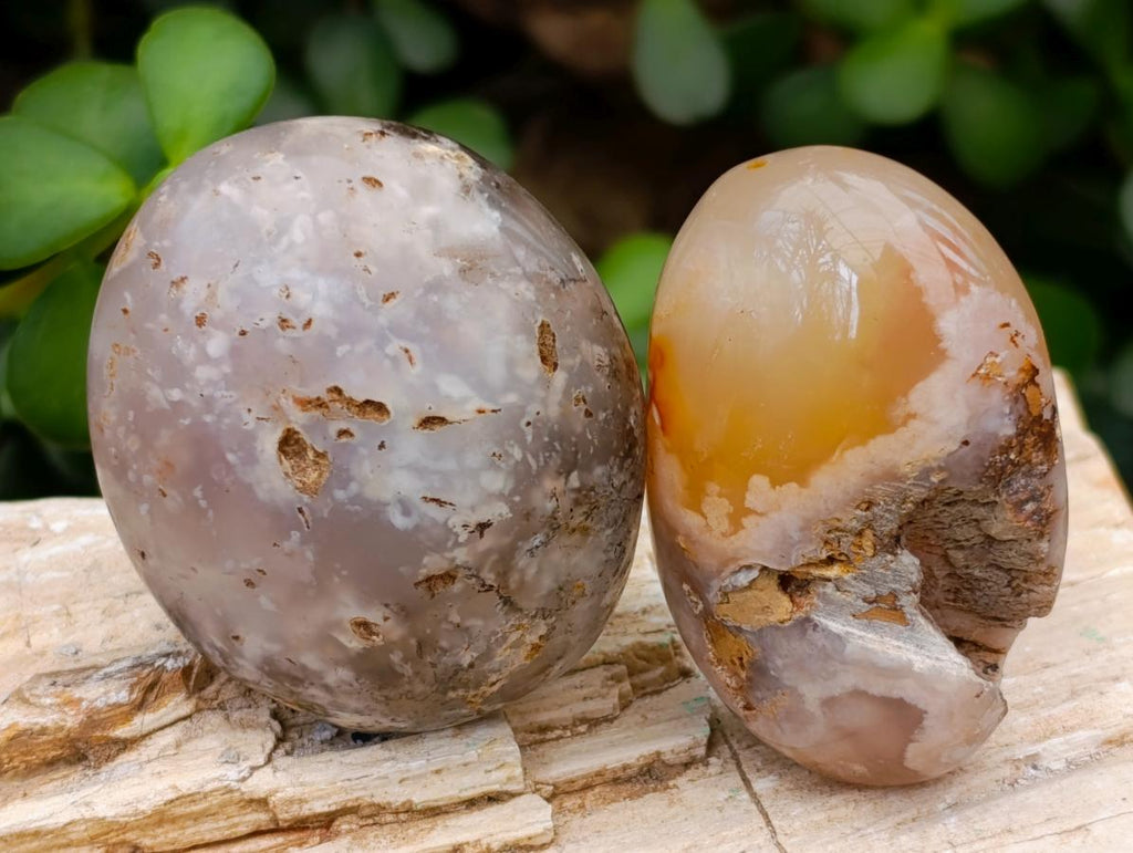 Polished Flower Agate Palm Stones x 24 From Antsahalova, Madagascar - Toprock Gemstones and Minerals 
