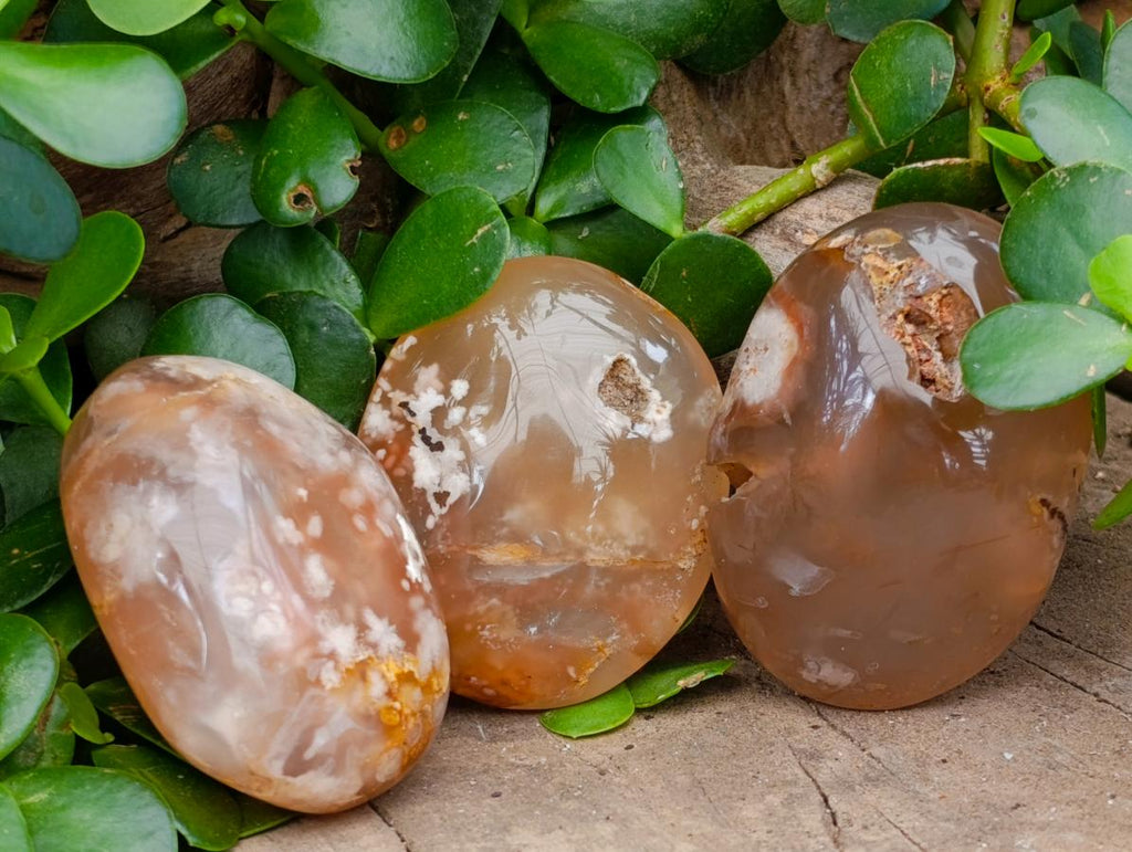 Polished Flower Agate Palm Stones x 24 From Antsahalova, Madagascar - Toprock Gemstones and Minerals 