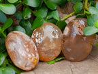 Polished Flower Agate Palm Stones x 24 From Antsahalova, Madagascar - Toprock Gemstones and Minerals 