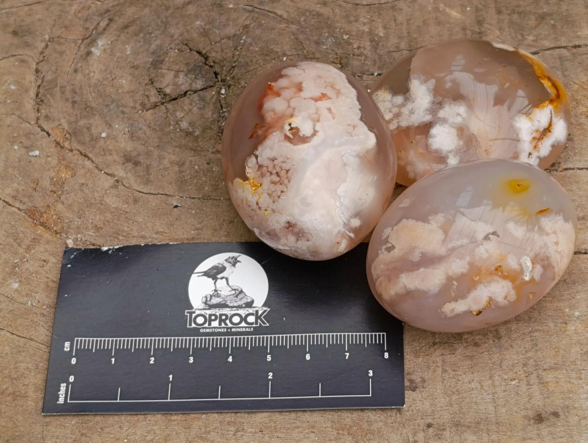 Polished Flower Agate Palm Stones x 24 From Antsahalova, Madagascar - Toprock Gemstones and Minerals 