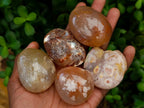 Polished Flower Agate Palm Stones x 24 From Antsahalova, Madagascar - Toprock Gemstones and Minerals 