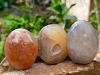 Polished Flower Agate Palm Stones x 24 From Antsahalova, Madagascar - Toprock Gemstones and Minerals 