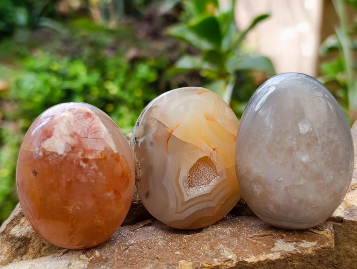 Polished Flower Agate Palm Stones x 24 From Antsahalova, Madagascar - Toprock Gemstones and Minerals 