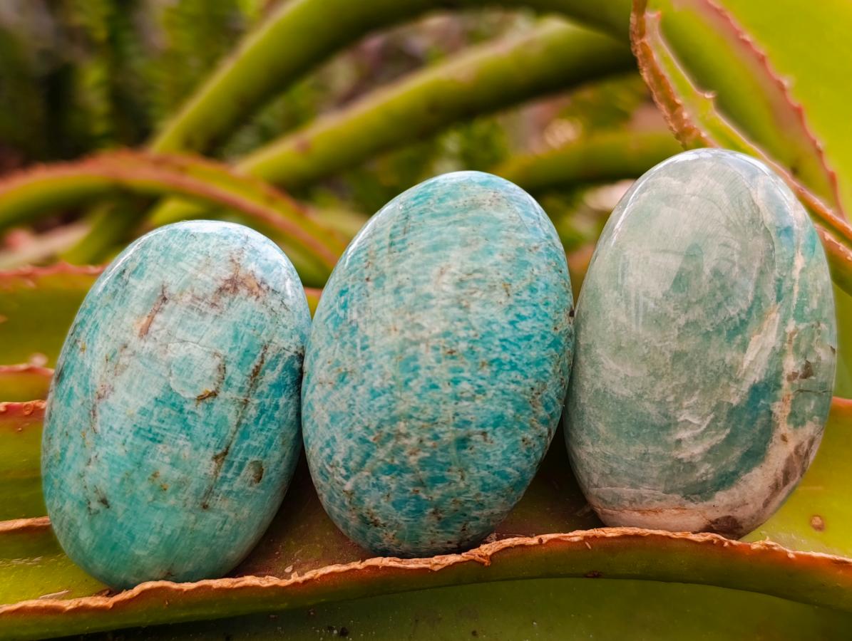 Polished Amazonite Palm Stones x 24 From Madagascar - Toprock Gemstones and Minerals 