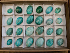 Polished Amazonite Palm Stones x 24 From Madagascar - Toprock Gemstones and Minerals 