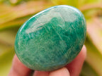 Polished Amazonite Palm Stones x 24 From Madagascar - Toprock Gemstones and Minerals 
