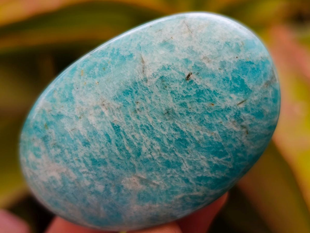 Polished Amazonite Palm Stones x 24 From Madagascar - Toprock Gemstones and Minerals 