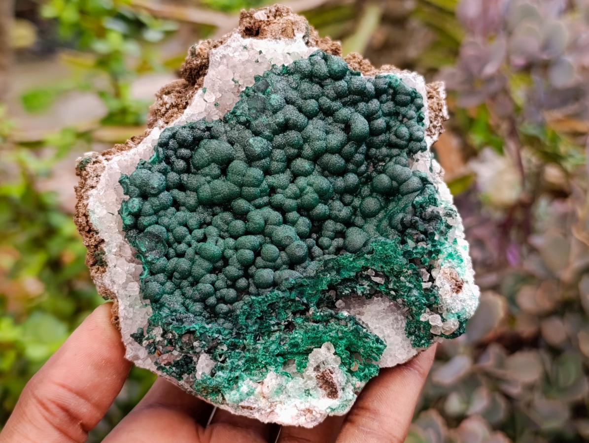 Natural Crystalline Ball Malachite on Quartz and Dolomite Matrix x 2 From Mindingi Mine, Kambove, Congo - Toprock Gemstones and Minerals 