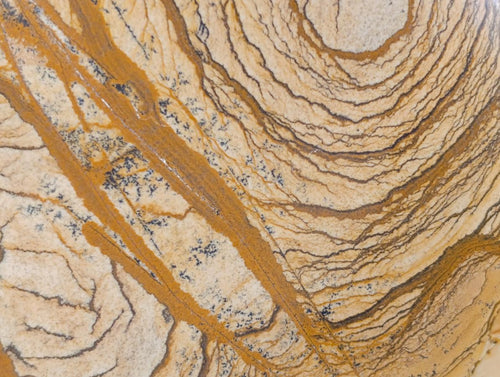 Polished Large Picture Stone Jasper Standing Free Form x 1 From Ais-Ais, Namibia - Toprock Gemstones and Minerals 