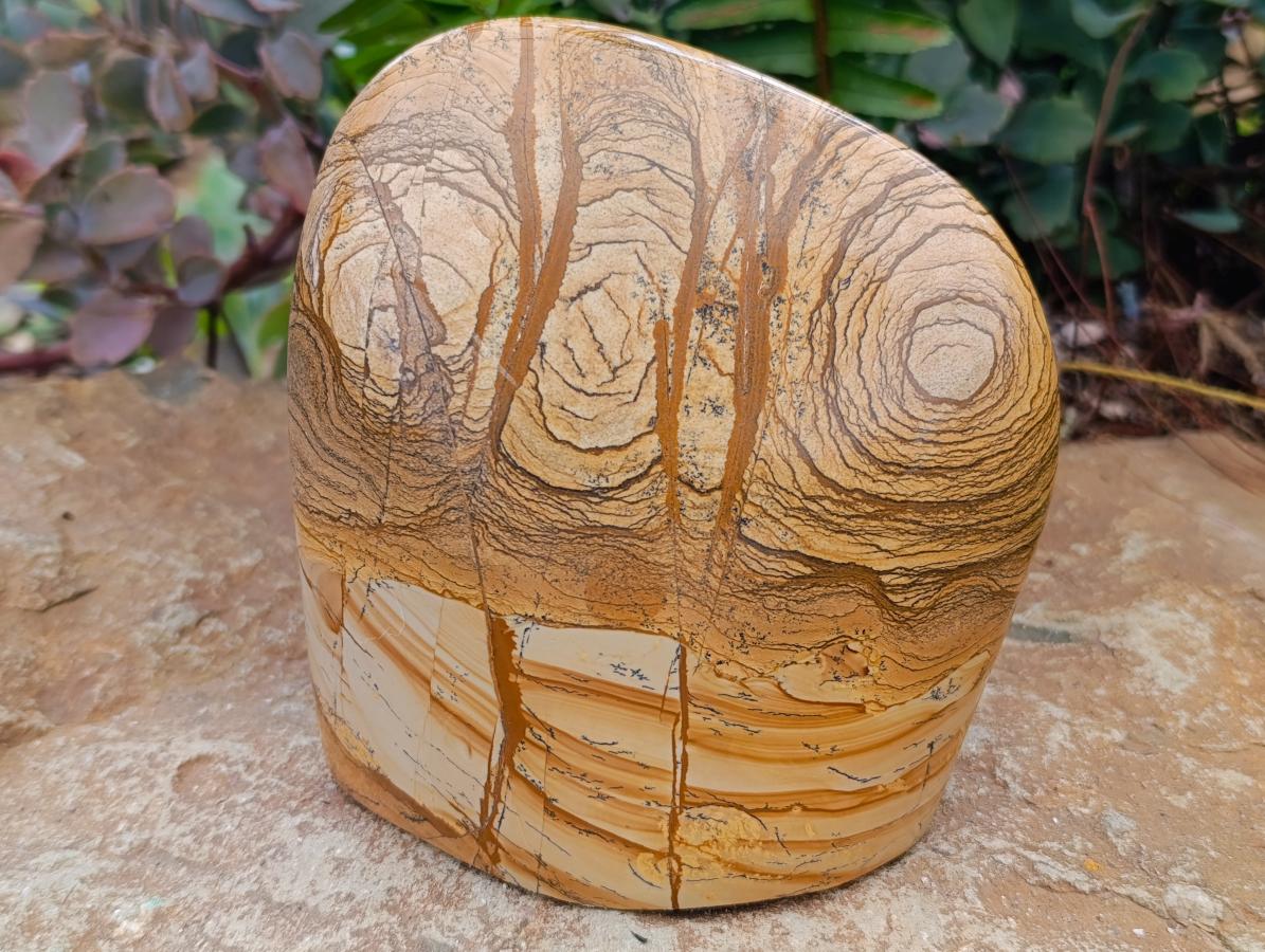 Polished Large Picture Stone Jasper Standing Free Form x 1 From Ais-Ais, Namibia - Toprock Gemstones and Minerals 