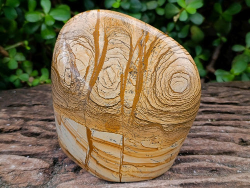 Polished Large Picture Stone Jasper Standing Free Form x 1 From Ais-Ais, Namibia - Toprock Gemstones and Minerals 