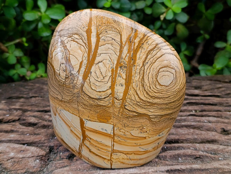 Polished Large Picture Stone Jasper Standing Free Form x 1 From Ais-Ais, Namibia - Toprock Gemstones and Minerals 