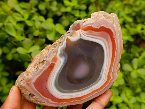 Polished One Side Red Shashe River Agate Nodules x 3 From Shashe River, Zimbabwe - Toprock Gemstones and Minerals 