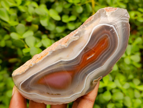 Polished One Side Red Shashe River Agate Nodules x 3 From Shashe River, Zimbabwe - Toprock Gemstones and Minerals 
