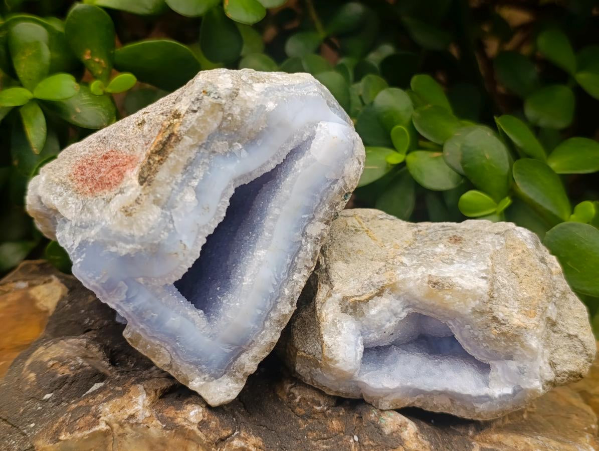 Natural Blue Lace Agate Geode Specimens x 6 From Nsanje, Malawi - Toprock Gemstones and Minerals 