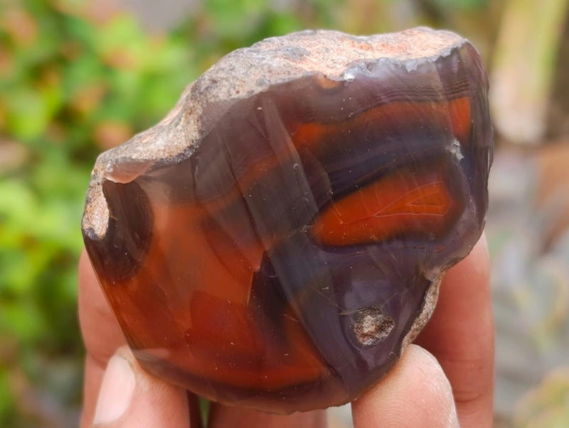 Polished One Side Red Shashe River Agate Nodules x 24 From Shashe River, Zimbabwe - Toprock Gemstones and Minerals 