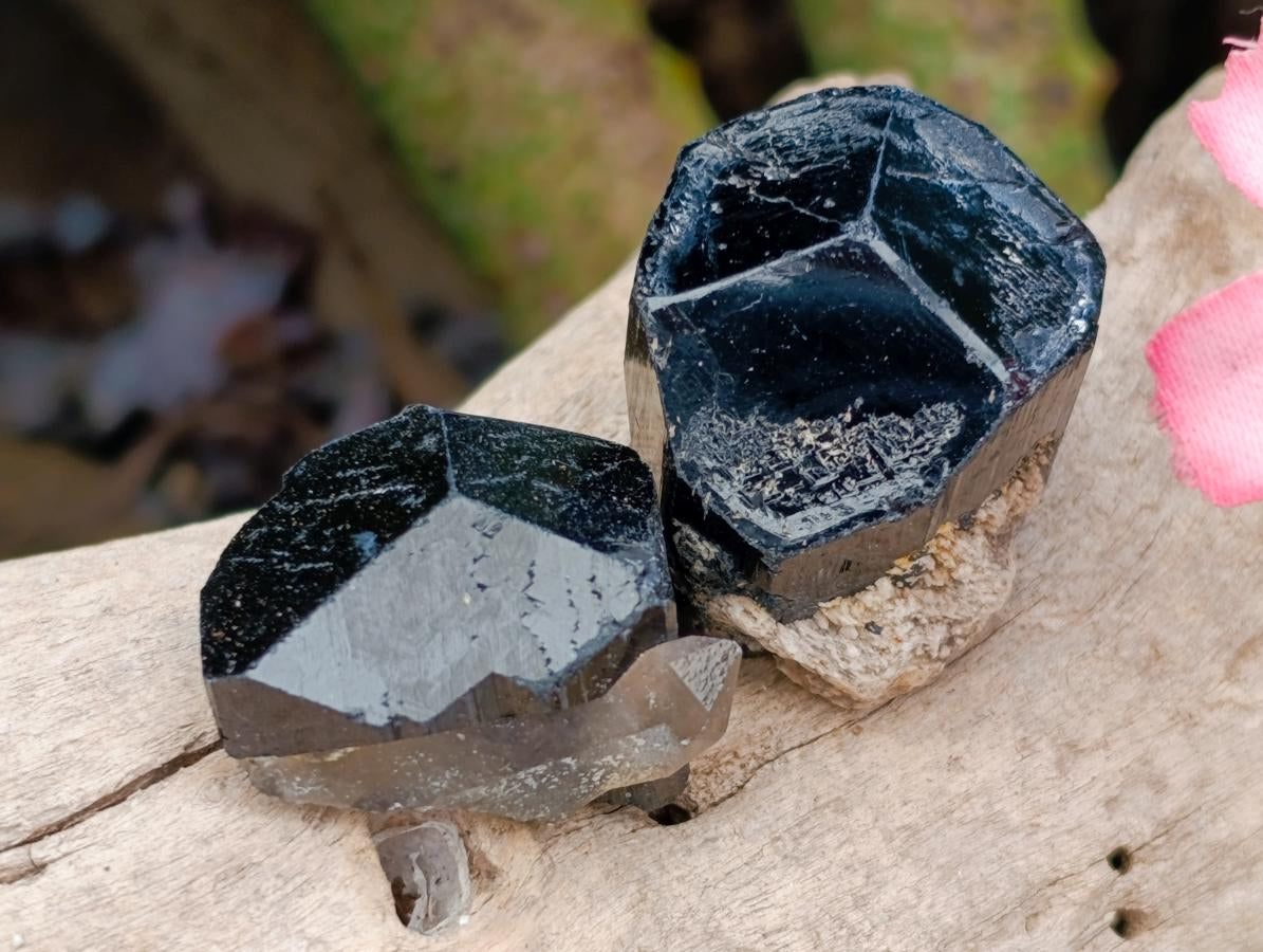 Natural Schorl Black Tourmaline Specimens x 70 From Erongo, Namibia - Toprock Gemstones and Minerals 