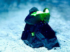 Natural Schorl Black Tourmaline Specimens x 70 From Erongo, Namibia - Toprock Gemstones and Minerals 