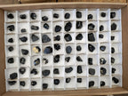Natural Schorl Black Tourmaline Specimens x 70 From Erongo, Namibia - Toprock Gemstones and Minerals 
