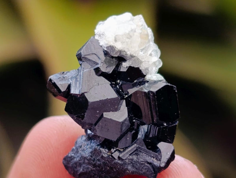 Natural Schorl Black Tourmaline Specimens x 70 From Erongo, Namibia - Toprock Gemstones and Minerals 