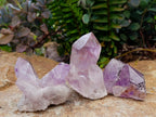 Natural Jacaranda Amethyst Single Crystals x 24 From Mumbwa, Zambia - Toprock Gemstones and Minerals 