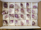 Natural Jacaranda Amethyst Single Crystals x 24 From Mumbwa, Zambia - Toprock Gemstones and Minerals 
