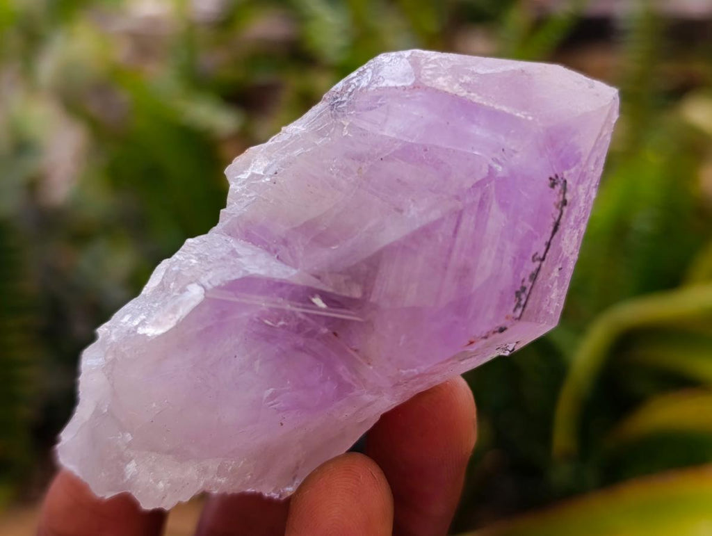 Natural Jacaranda Amethyst Single Crystals x 24 From Mumbwa, Zambia - Toprock Gemstones and Minerals 