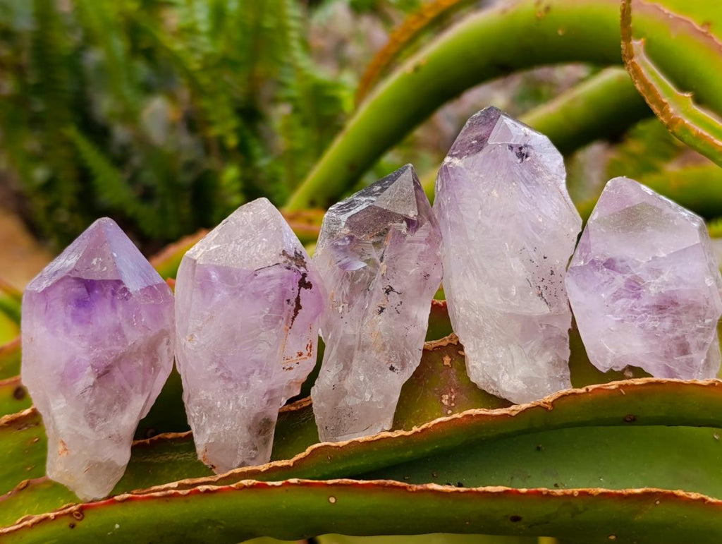 Natural Jacaranda Amethyst Single Crystals x 24 From Mumbwa, Zambia - Toprock Gemstones and Minerals 