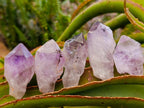 Natural Jacaranda Amethyst Single Crystals x 24 From Mumbwa, Zambia - Toprock Gemstones and Minerals 