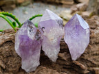 Natural Jacaranda Amethyst Single Crystals x 24 From Mumbwa, Zambia - Toprock Gemstones and Minerals 