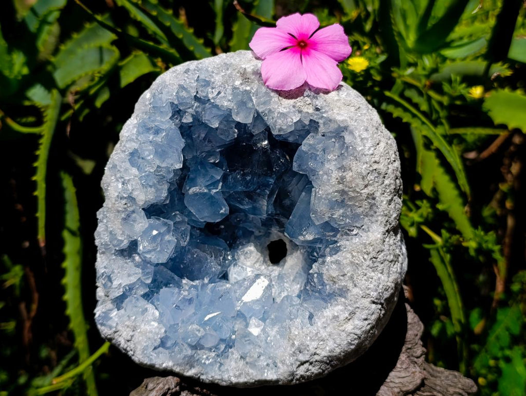 Natural Large Blue Celestite Geode Specimen x 1 From Sakoany, Madagascar - Toprock Gemstones and Minerals 