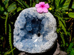 Natural Large Blue Celestite Geode Specimen x 1 From Sakoany, Madagascar - Toprock Gemstones and Minerals 