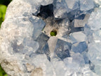 Natural Large Blue Celestite Geode Specimen x 1 From Sakoany, Madagascar - Toprock Gemstones and Minerals 