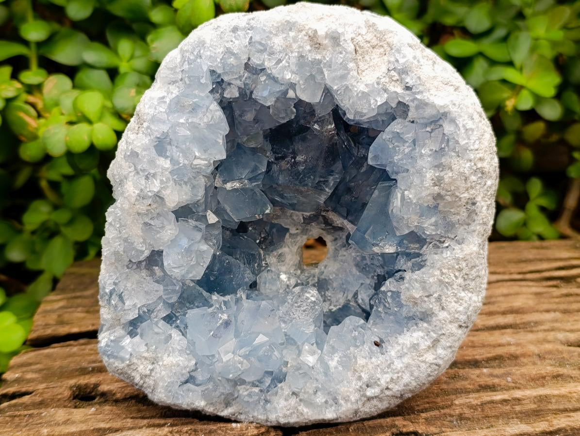 Natural Large Blue Celestite Geode Specimen x 1 From Sakoany, Madagascar - Toprock Gemstones and Minerals 