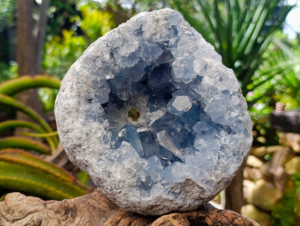 Natural Large Blue Celestite Geode Specimen x 1 From Sakoany, Madagascar - Toprock Gemstones and Minerals 