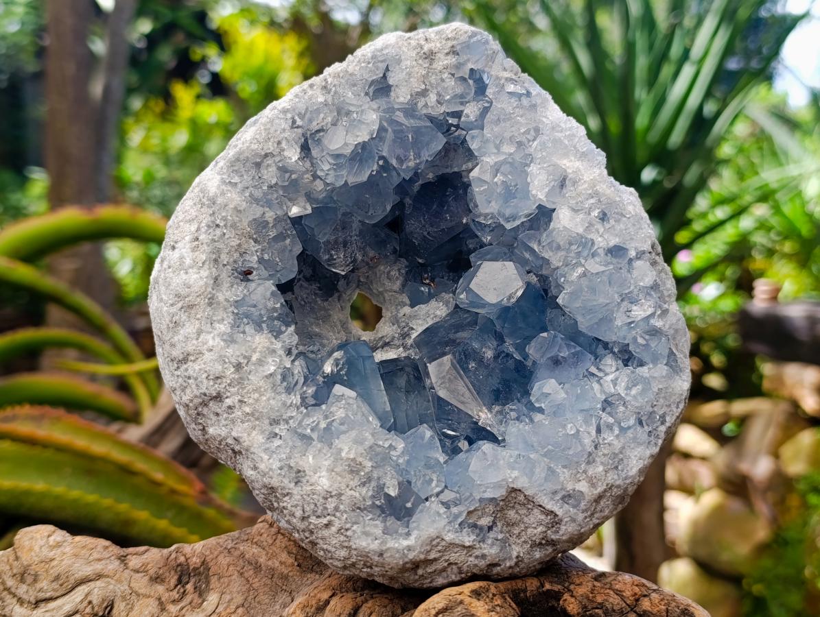 Natural Large Blue Celestite Geode Specimen x 1 From Sakoany, Madagascar - Toprock Gemstones and Minerals 