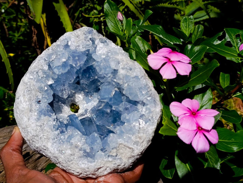 Natural Large Blue Celestite Geode Specimen x 1 From Sakoany, Madagascar - Toprock Gemstones and Minerals 