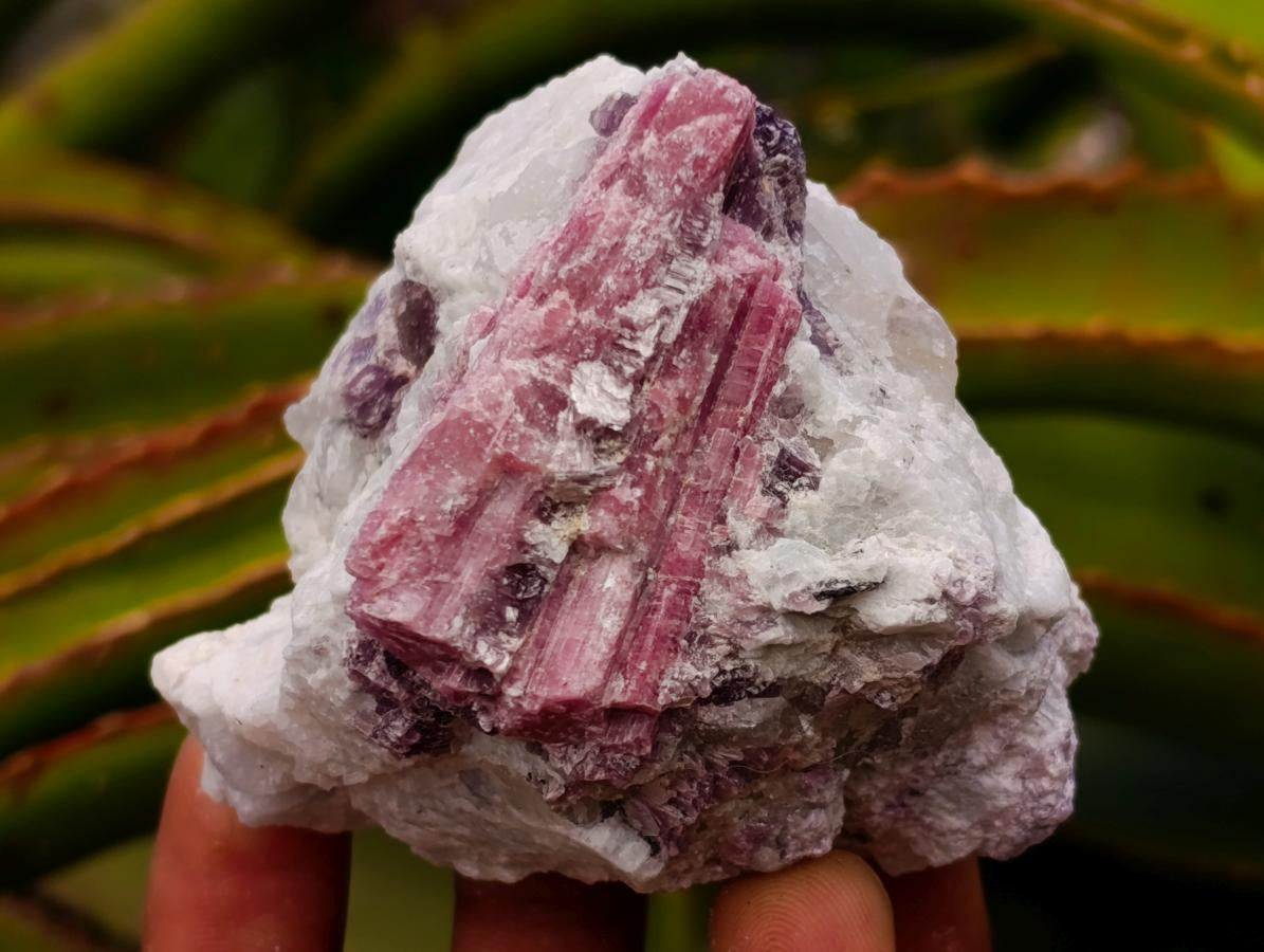 Natural Pink Rubellite Tourmaline Specimens x 6 From Karibib, Namibia - Toprock Gemstones and Minerals 
