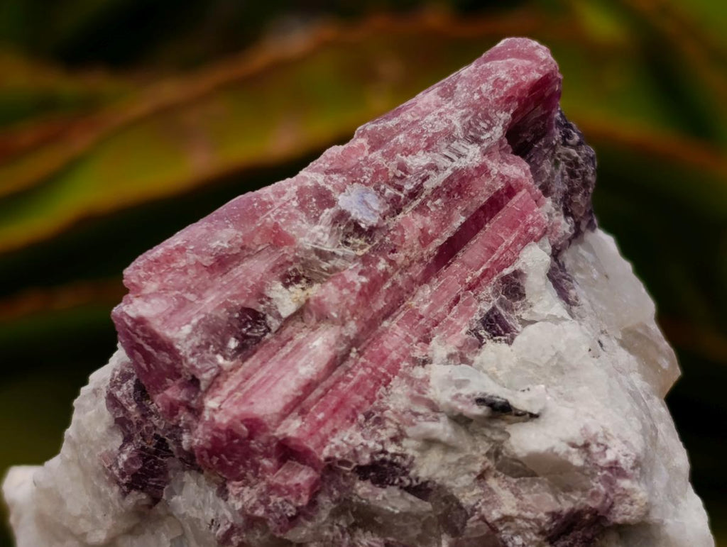 Natural Pink Rubellite Tourmaline Specimens x 6 From Karibib, Namibia - Toprock Gemstones and Minerals 