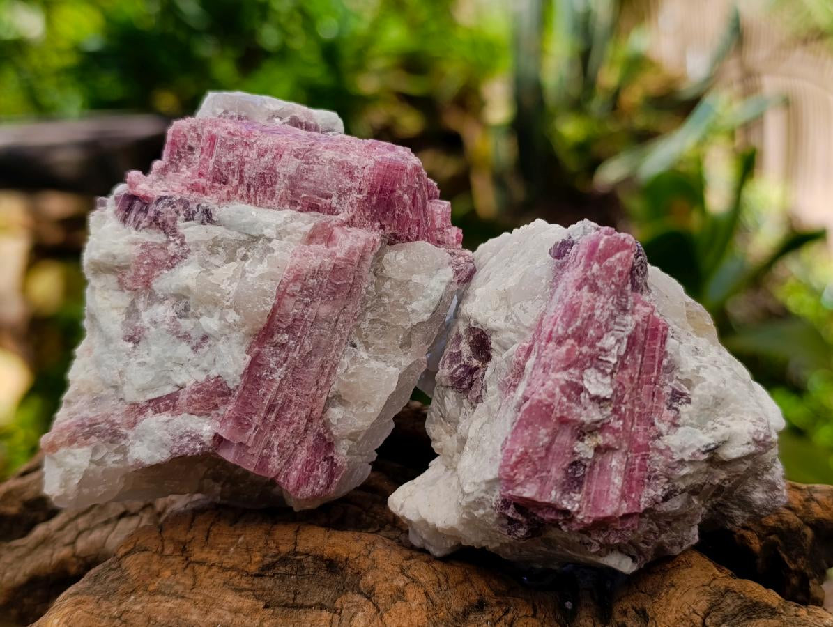 Natural Pink Rubellite Tourmaline Specimens x 6 From Karibib, Namibia - Toprock Gemstones and Minerals 