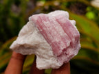 Natural Pink Rubellite Tourmaline Specimens x 6 From Karibib, Namibia - Toprock Gemstones and Minerals 