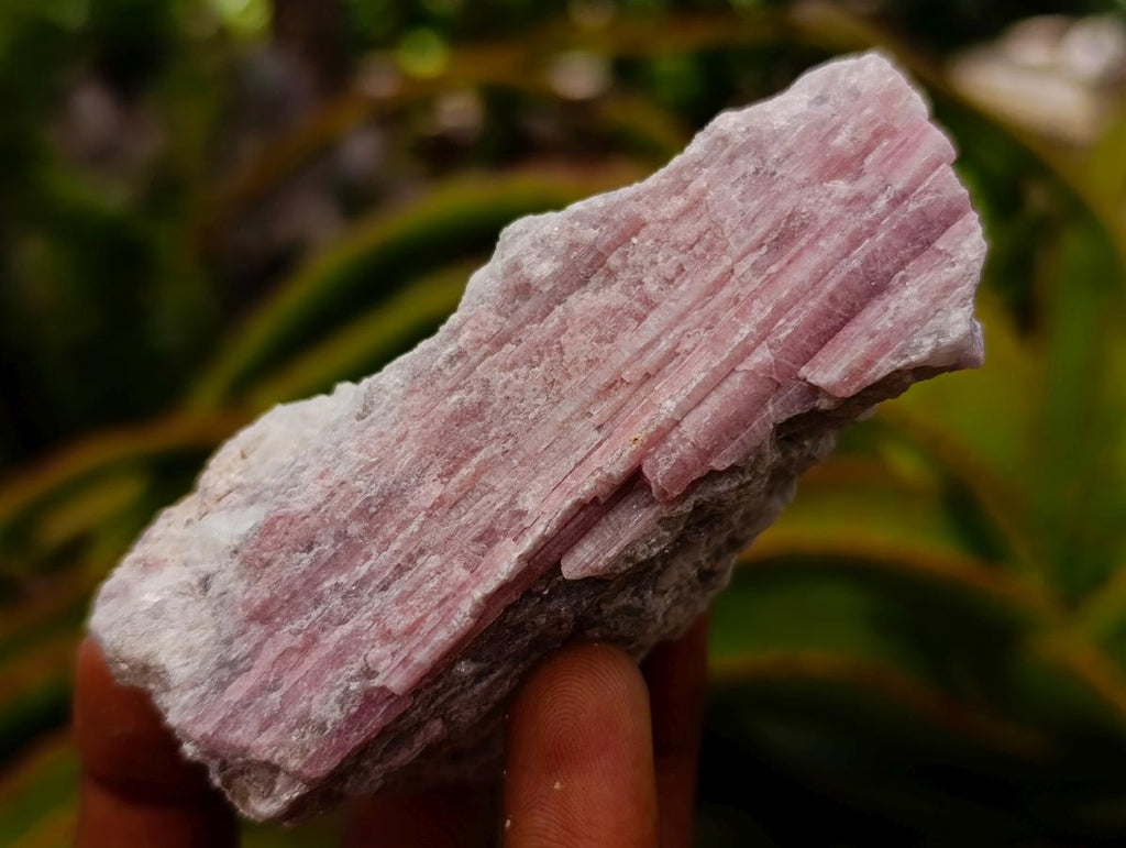 Natural Pink Rubellite Tourmaline Specimens x 6 From Karibib, Namibia - Toprock Gemstones and Minerals 