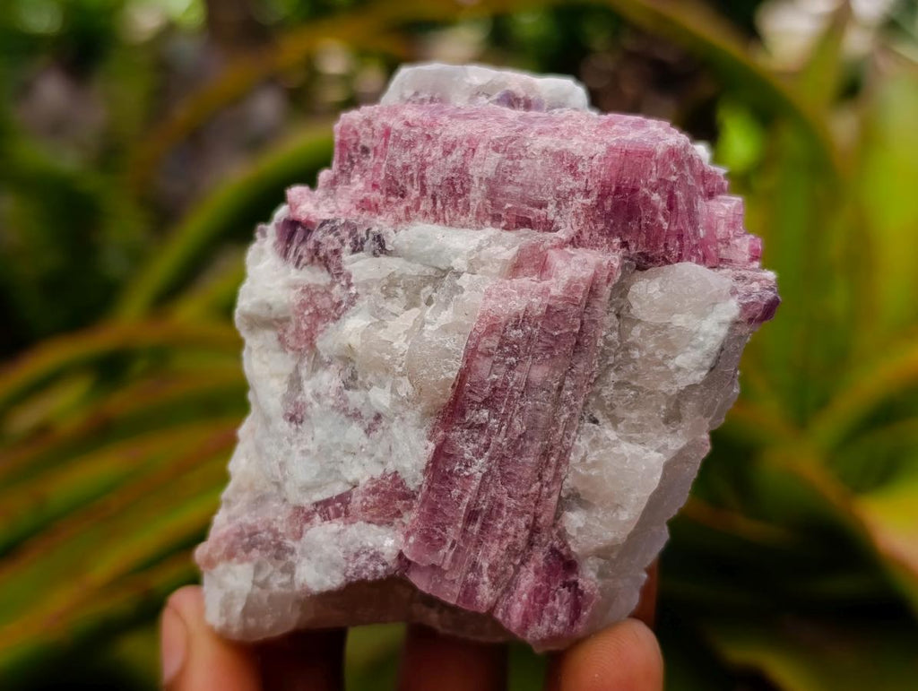 Natural Pink Rubellite Tourmaline Specimens x 6 From Karibib, Namibia - Toprock Gemstones and Minerals 