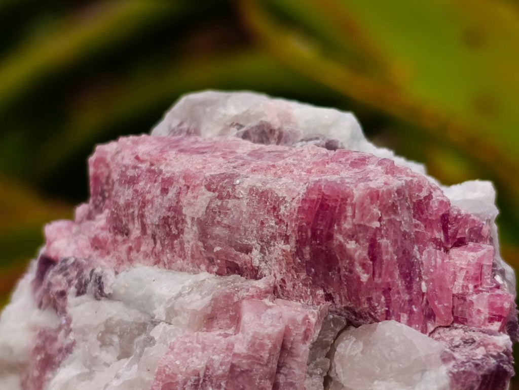Natural Pink Rubellite Tourmaline Specimens x 6 From Karibib, Namibia - Toprock Gemstones and Minerals 