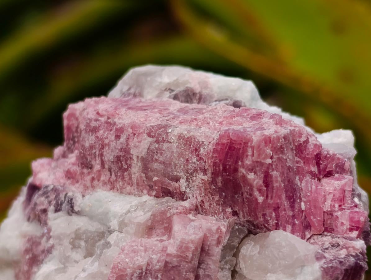 Natural Pink Rubellite Tourmaline Specimens x 6 From Karibib, Namibia - Toprock Gemstones and Minerals 