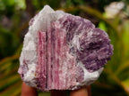 Natural Pink Rubellite Tourmaline Specimens x 6 From Karibib, Namibia - Toprock Gemstones and Minerals 