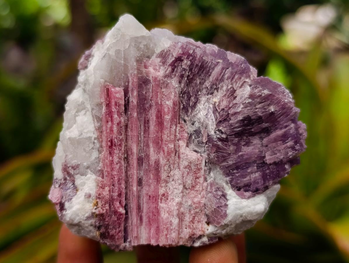 Natural Pink Rubellite Tourmaline Specimens x 6 From Karibib, Namibia - Toprock Gemstones and Minerals 