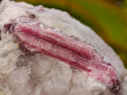 Natural Pink Rubellite Tourmaline Specimens x 6 From Karibib, Namibia - Toprock Gemstones and Minerals 