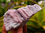 Natural Pink Rubellite Tourmaline Specimens x 6 From Karibib, Namibia - Toprock Gemstones and Minerals 