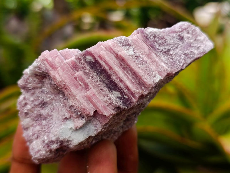 Natural Pink Rubellite Tourmaline Specimens x 6 From Karibib, Namibia - Toprock Gemstones and Minerals 
